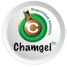 Chamgei FM